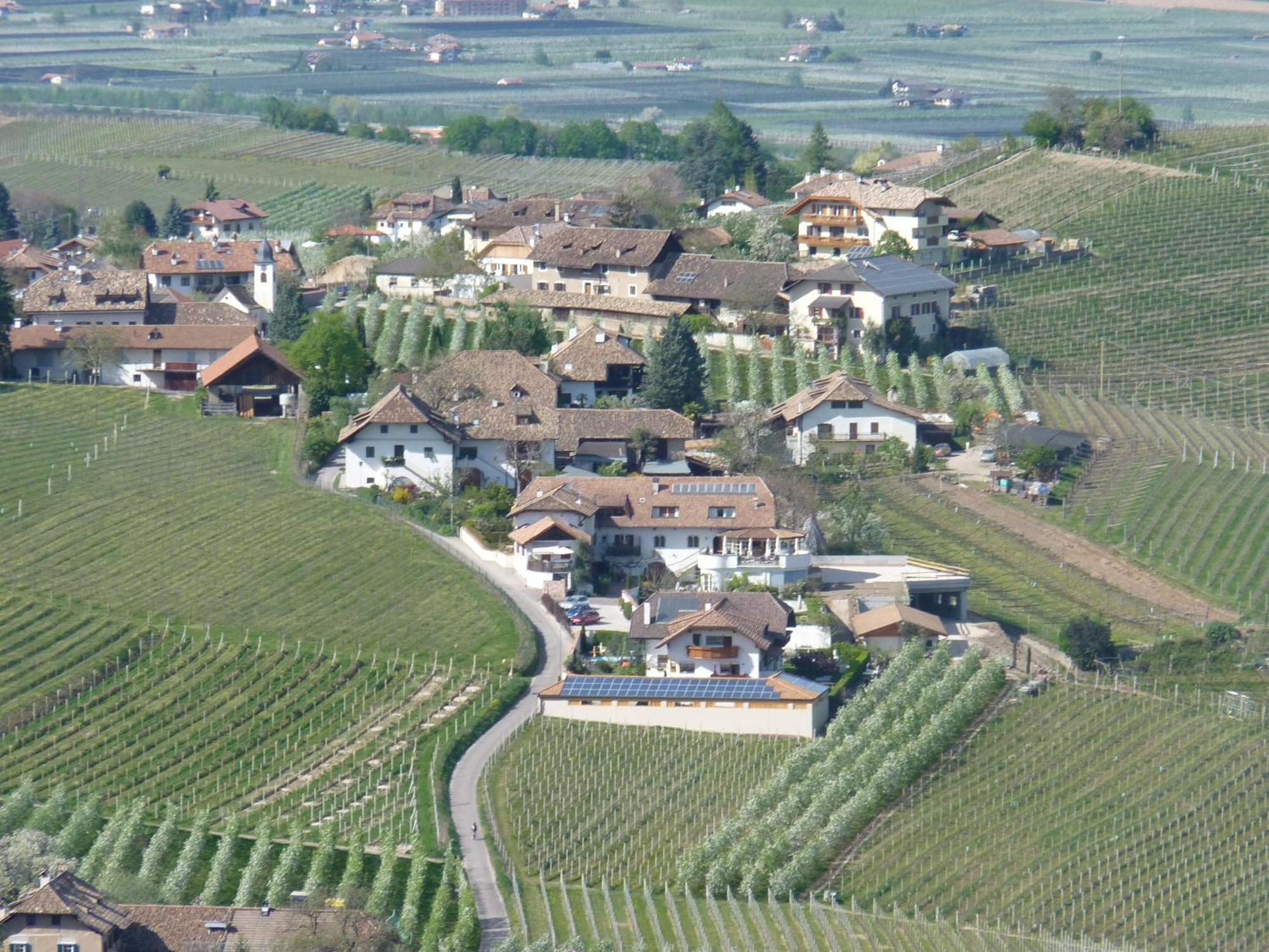 Ferienwohnungen Lanserhof Eppan an der Weinstraße Exteriör bild