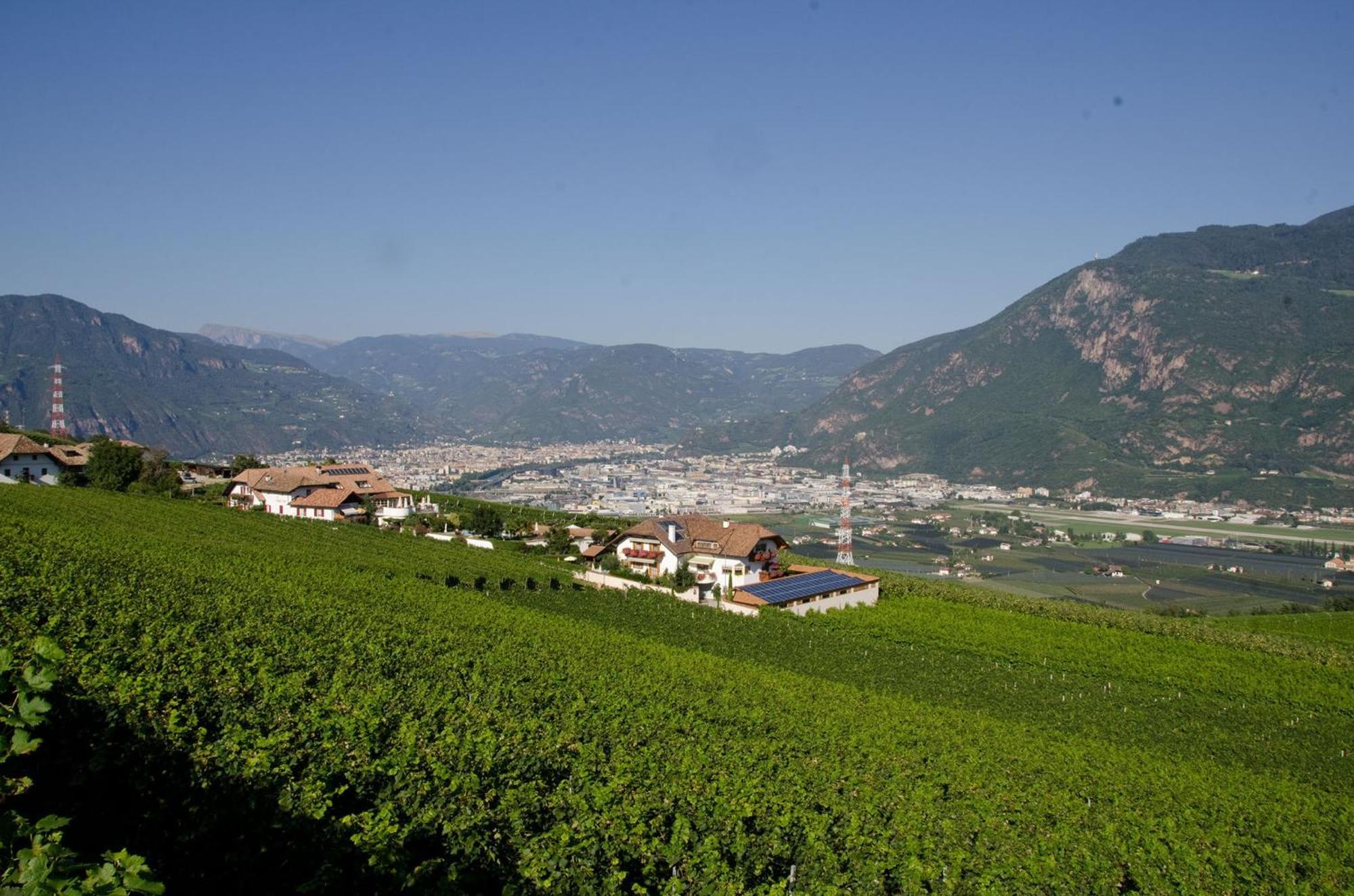 Ferienwohnungen Lanserhof Eppan an der Weinstraße Exteriör bild